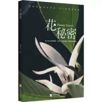 诺森花秘密杨晓棠9787559453808江苏凤凰文艺出版社