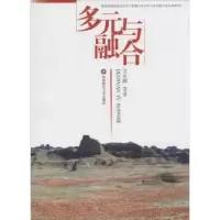 诺森多元与融合艾光辉等著9787550415西南财经大学出版社