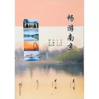 诺森畅游南京王丽主编9787305165412南京大学出版社