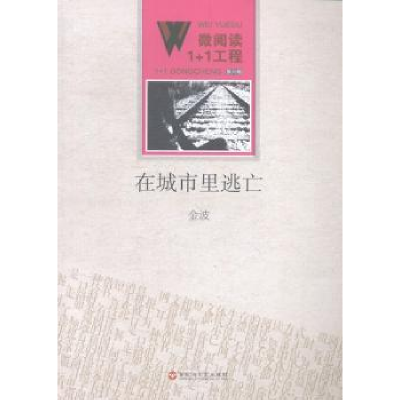 诺森在城市里逃亡金波[著]9787550010468百花洲文艺出版社