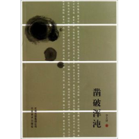 诺森凿破浑沌李文炳著9787548907640云南美术出版社