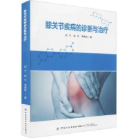 诺森膝关节疾病的诊断与治疗刘宁9787518092246中国纺织出版社