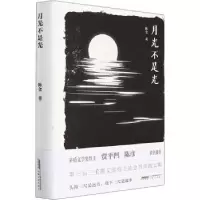 诺森月光不是光(精)陈仓9787539672908安徽文艺出版社