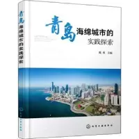 诺森青岛海绵城市的实践探索陈勇9787127225化学工业出版社
