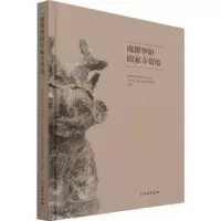 诺森成都华阳田家寺墓地(精)颜劲松主编9787501071524文物出版社