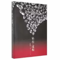 诺森《钻石?过程》李建军编著9787209111768山东人民出版社