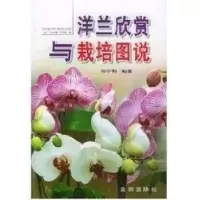 诺森洋兰欣赏与栽培图说陈宇勒9787508228785金盾出版社