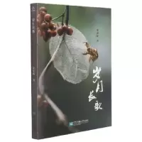 诺森岁月长歌郭朝晖9787559453617江苏文艺出版社