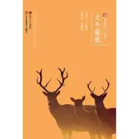 诺森大丰麋鹿马连义,杨国美9787214152749江苏人民出版社