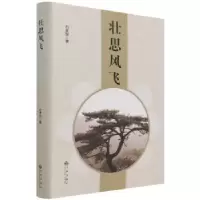 诺森壮思风飞(精)石孝军9787522502250九州出版社