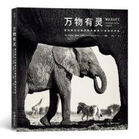 诺森万物有灵(国际野生生物摄影年赛5届获奖作品)(精)