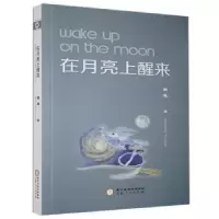 诺森在月亮上醒来银莲著9787227073017宁夏人民出版社