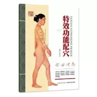 诺森功能配穴齐凤军9787535285065湖北科学技术出版社
