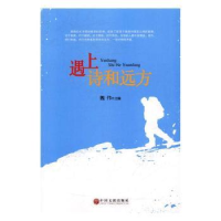 诺森遇上诗和远方魏伟主编9787519024215中国文联出版社