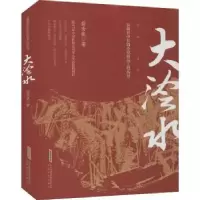 诺森大浍水苗秀侠9787539670836安徽文艺出版社