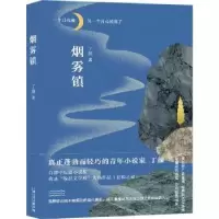 诺森烟雾镇丁颜9787532179244上海文艺出版社