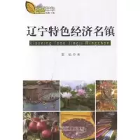 诺森辽宁特色经济名镇张松著9787538294002辽宁教育出版社