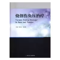 诺森烧创伤负压治疗申传安,郝岱峰主编978711724人民卫生出版社