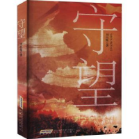 诺森守望刘衍隍9787539671802安徽文艺出版社