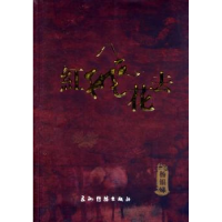诺森红飞花去:长篇小说杨银娣著9787508526508五洲传播出版社