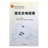 诺森湖北水电资源郭生练9787549203772长江出版社