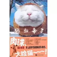 诺森猫叔来了[日]我爱猫著9787532142088上海文艺出版社