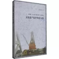 诺森文化遗产保护科技支撑单霁翔著9787561857694天津大学出版社