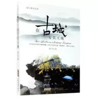 诺森在古城安放灵魂楚仁君9787539670966安徽文艺出版社