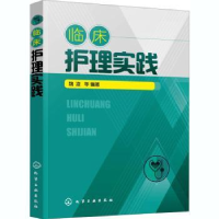 诺森临床护理实践魏凌9787124455化学工业出版社