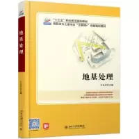 诺森地基处理王仙芝9787301306666北京大学出版社