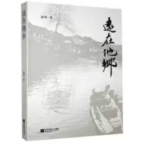 诺森远在他乡修林9787559440228江苏凤凰文艺出版社