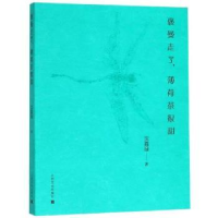 诺森褒曼走了,薄荷茶很甜沈嘉禄著9787553516363上海文化出版社