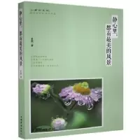 诺森静心里,都有的风景夏然9787511347145中国华侨出版社