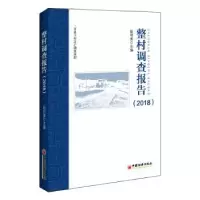 诺森整村调查报告(2018)耿明斋9787513658102中国经济出版社