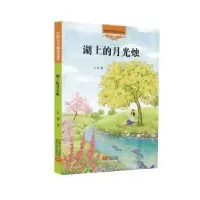 诺森湖上的月光烛金波著9787510138584中国人口出版社