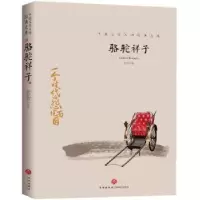 诺森骆驼祥子老舍9787545550153天地出版社