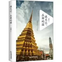 诺森遇见你,在的国汤向阳9787506849364中国书籍出版社