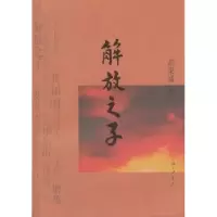 诺森解放之子胡果威著9787542635099上海三联书店