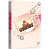 诺森赖上你的暖菊子作品9787539935058江苏文艺出版社