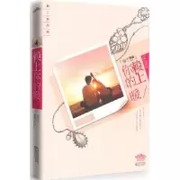 诺森赖上你的暖菊子作品9787539935058江苏文艺出版社