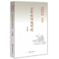 诺森正午的阳光明亮王鸿达9787520509350中国文史出版社