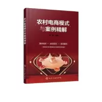 诺森农村电商模式与案例精解金波978712555化学工业出版社