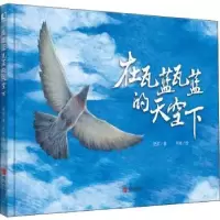 诺森在瓦蓝瓦蓝的天空下史雷9787555295044青岛出版社