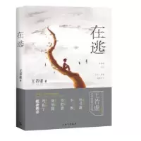 诺森在逃王若虚著9787542648839上海三联书店