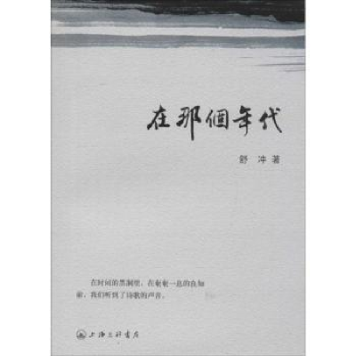 诺森在那个年代舒冲著9787542655752上海三联书店