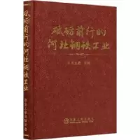 诺森砥砺前行的河北钢铁工业王大勇9787502486433冶金工业出版社
