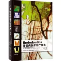 诺森牙髓病临床治疗技术