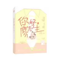 诺森你好,廖先生谢宁远9787559441898江苏凤凰文艺出版社