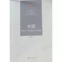 诺森中风电业的演化与发展王正明著9787811301922江苏大学出版社