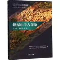 诺森铜绿山考古印象陈树祥,连红主编9787501056576文物出版社